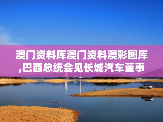 澳门资料库澳门资料澳彩图库,巴西总统会见长城汽车董事长魏建军