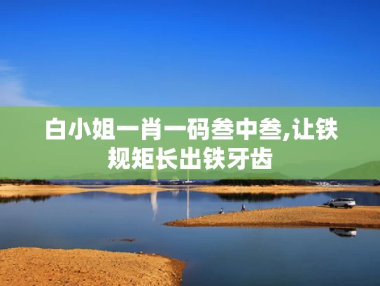 白小姐一肖一码叁中叁,让铁规矩长出铁牙齿