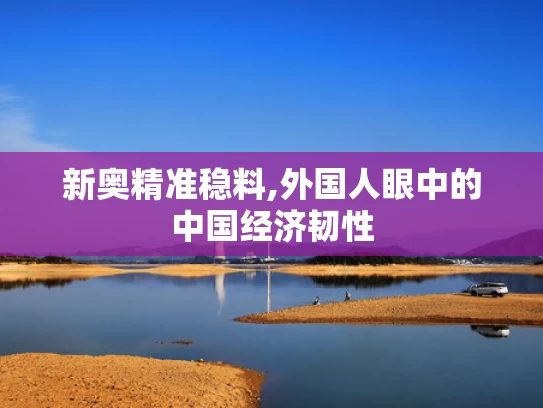 新奥精准稳料,外国人眼中的中国经济韧性