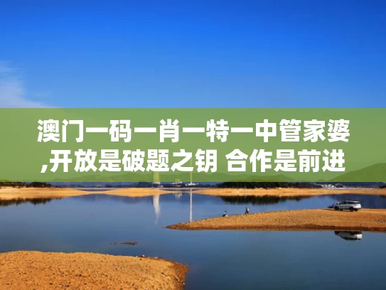 澳门一码一肖一特一中管家婆,开放是破题之钥 合作是前进之道