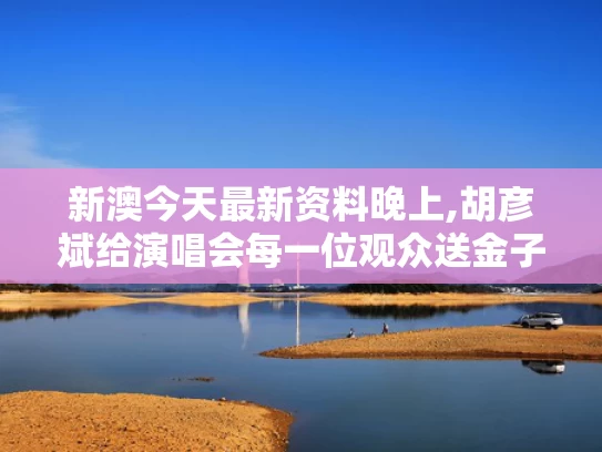 新澳今天最新资料晚上,胡彦斌给演唱会每一位观众送金子