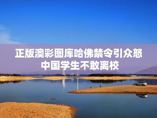 2025年5月25日 第33页
