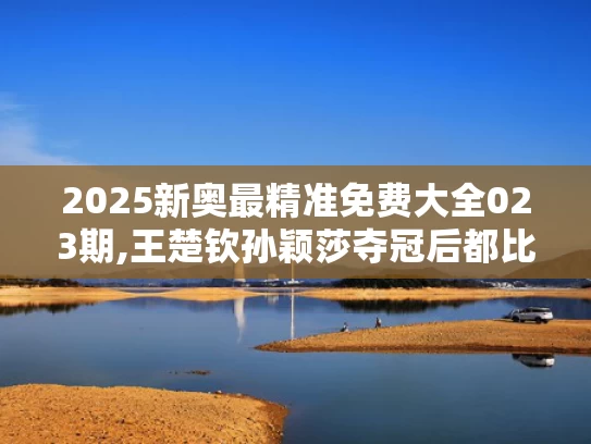 2025新奥最精准免费大全023期,王楚钦孙颖莎夺冠后都比了3