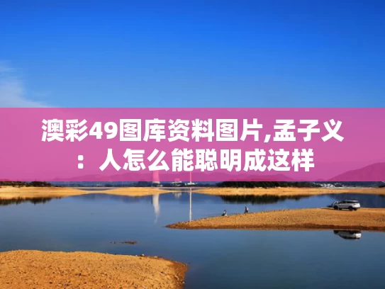 澳彩49图库资料图片,孟子义：人怎么能聪明成这样