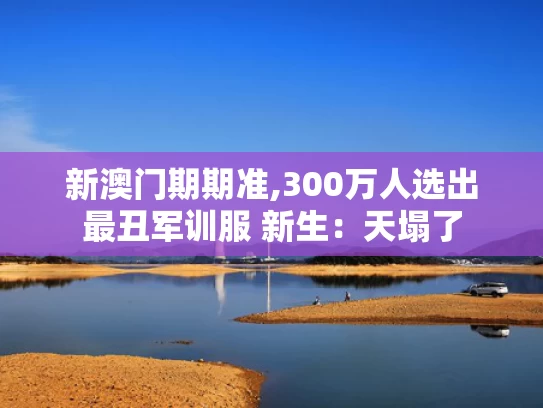新澳门期期准,300万人选出最丑军训服 新生：天塌了