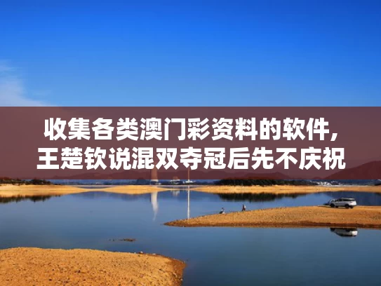 收集各类澳门彩资料的软件,王楚钦说混双夺冠后先不庆祝