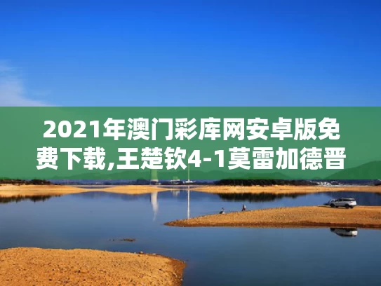2021年澳门彩库网安卓版免费下载,王楚钦4-1莫雷加德晋级决赛