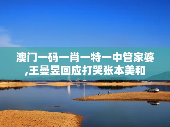 澳门一码一肖一特一中管家婆,王曼昱回应打哭张本美和