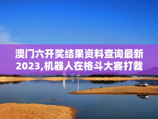 澳门六开奖结果资料查询最新2023,机器人在格斗大赛打裁判