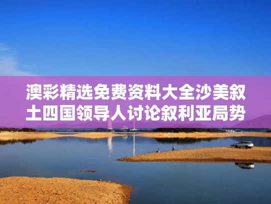 澳彩精选免费资料大全	沙美叙土四国领导人讨论叙利亚局势