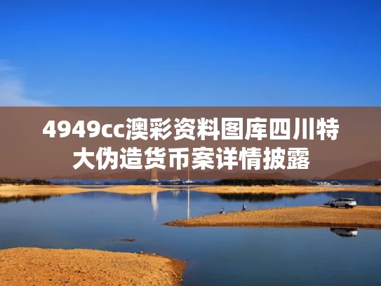 4949cc澳彩资料图库	四川特大伪造货币案详情披露