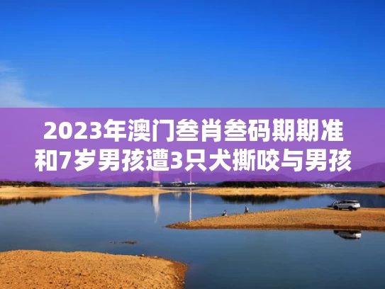 2023年澳门叁肖叁码期期准和7岁男孩遭3只犬撕咬与男孩遭7只恶狗撕咬
