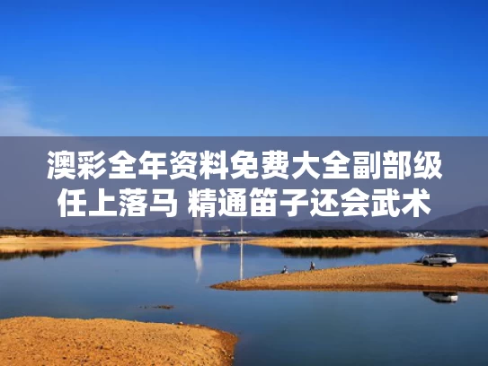 澳彩全年资料免费大全	副部级任上落马 精通笛子还会武术