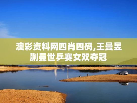 澳彩资料网四肖四码,王曼昱蒯曼世乒赛女双夺冠