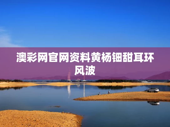 澳彩网官网资料	黄杨钿甜耳环风波
