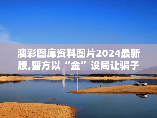 澳彩图库资料图片2024最新版,警方以“金”设局让骗子自投罗网
