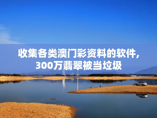 收集各类澳门彩资料的软件,300万翡翠被当垃圾