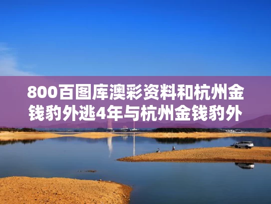 800百图库澳彩资料	和杭州金钱豹外逃4年与杭州金钱豹外逃视频