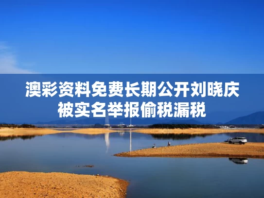 澳彩资料免费长期公开	刘晓庆被实名举报偷税漏税