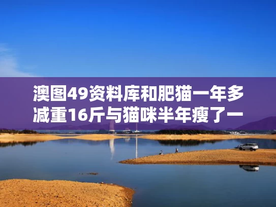 澳图49资料库和肥猫一年多减重16斤与猫咪半年瘦了一斤