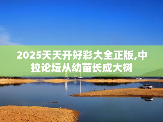 2025天天开好彩大全正版,中拉论坛从幼苗长成大树