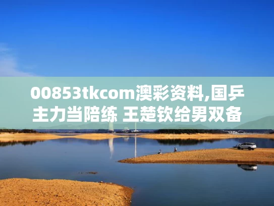 00853tkcom澳彩资料,国乒主力当陪练 王楚钦给男双备战