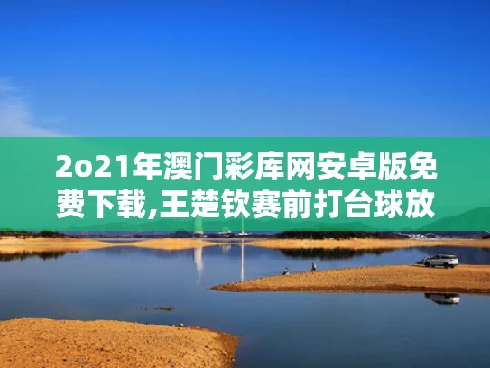2o21年澳门彩库网安卓版免费下载,王楚钦赛前打台球放松