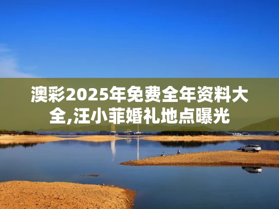 澳彩2025年免费全年资料大全,汪小菲婚礼地点曝光