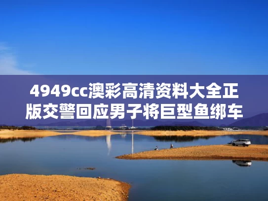 4949cc澳彩高清资料大全正版	交警回应男子将巨型鱼绑车尾游街