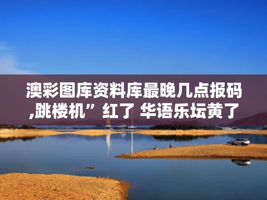 澳彩图库资料库最晚几点报码,跳楼机”红了 华语乐坛黄了