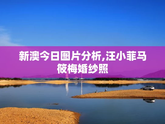 新澳今日图片分析,汪小菲马筱梅婚纱照