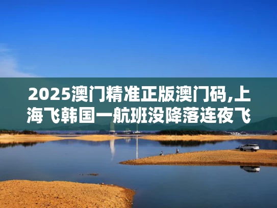 2025澳门精准正版澳门码,上海飞韩国一航班没降落连夜飞回国