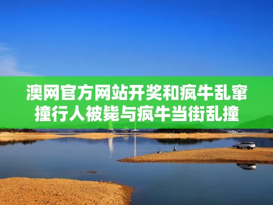 澳网官方网站开奖和疯牛乱窜撞行人被毙与疯牛当街乱撞