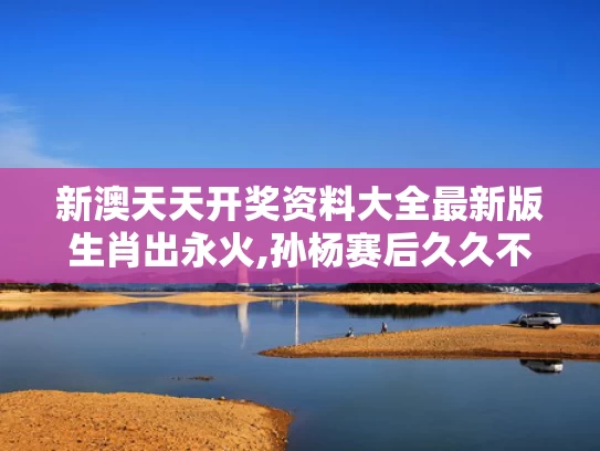 新澳天天开奖资料大全最新版生肖出永火,孙杨赛后久久不愿离去