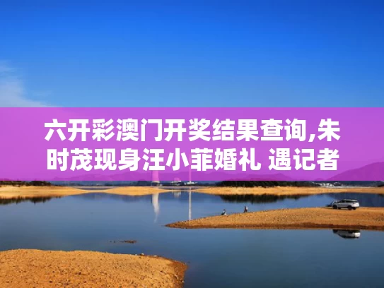 六开彩澳门开奖结果查询,朱时茂现身汪小菲婚礼 遇记者速逃离