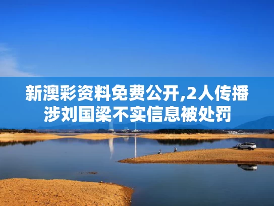 新澳彩资料免费公开,2人传播涉刘国梁不实信息被处罚