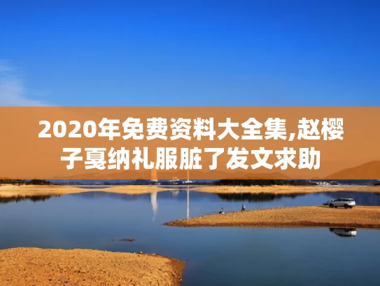 2020年免费资料大全集,赵樱子戛纳礼服脏了发文求助