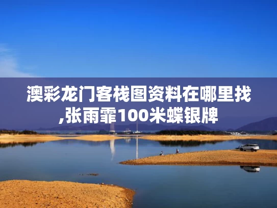 澳彩龙门客栈图资料在哪里找,张雨霏100米蝶银牌
