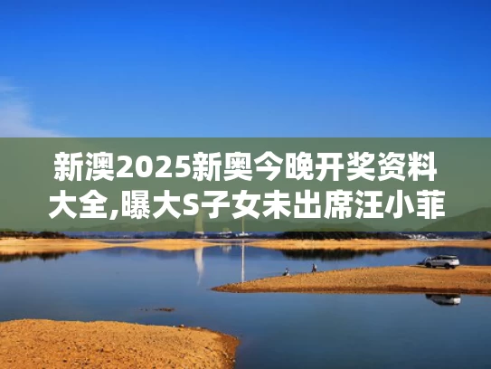 新澳2025新奥今晚开奖资料大全,曝大S子女未出席汪小菲婚礼