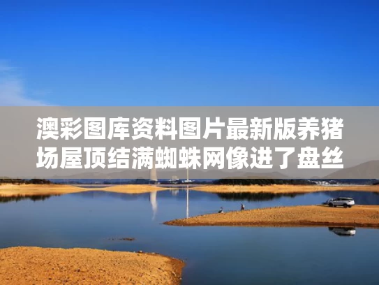 2025年5月18日