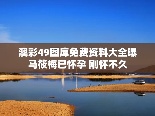 2025年5月19日 第5页