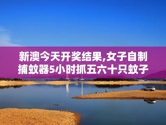 新澳今天开奖结果,女子自制捕蚊器5小时抓五六十只蚊子