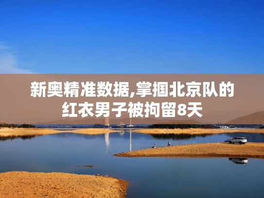 新奥精准数据,掌掴北京队的红衣男子被拘留8天