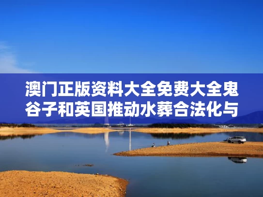 澳门正版资料大全免费大全鬼谷子和英国推动水葬合法化与英国推动水葬合法化的原因