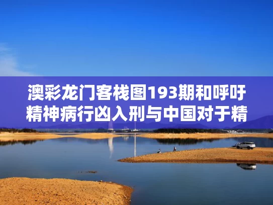 澳彩龙门客栈图193期和呼吁精神病行凶入刑与中国对于精神病人犯罪的处理方式