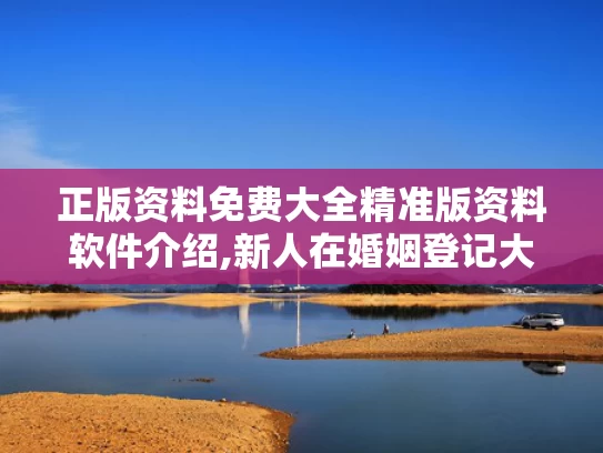 正版资料免费大全精准版资料软件介绍,新人在婚姻登记大厅打架？系摆拍