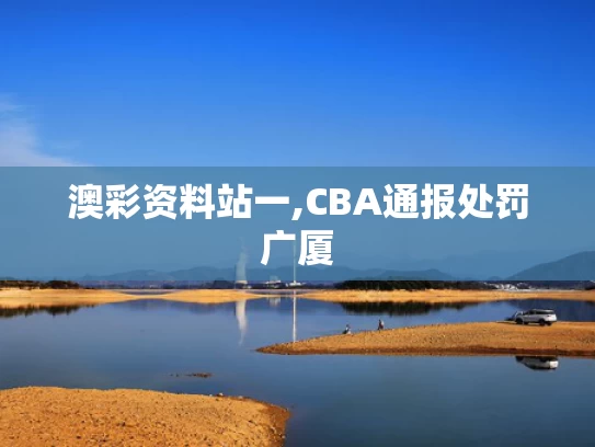 澳彩资料站一,CBA通报处罚广厦