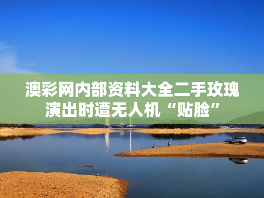 澳彩网内部资料大全	二手玫瑰演出时遭无人机“贴脸”