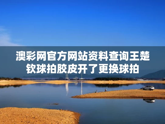 澳彩网官方网站资料查询	王楚钦球拍胶皮开了更换球拍