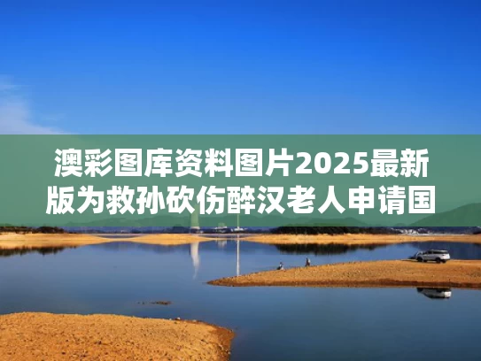 澳彩图库资料图片2025最新版	为救孙砍伤醉汉老人申请国赔128万